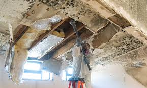 Best Mold Prevention Services  in Moscow, ID